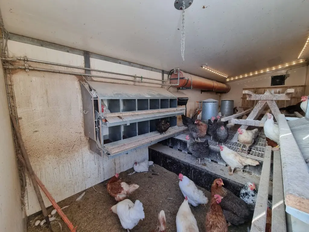 1a2870a1-b082-44f5-b329-2953bb4242ec-WhatsApp Image 2026-04-13 at 10.32.23 (5).jpg