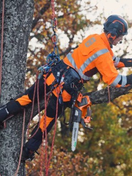 Husqvarna Akku-Motorsäge T535i XP