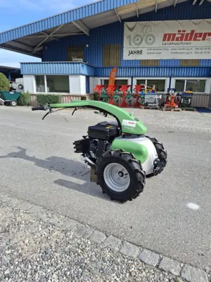 Rapid, M-Einachser Mondo M141