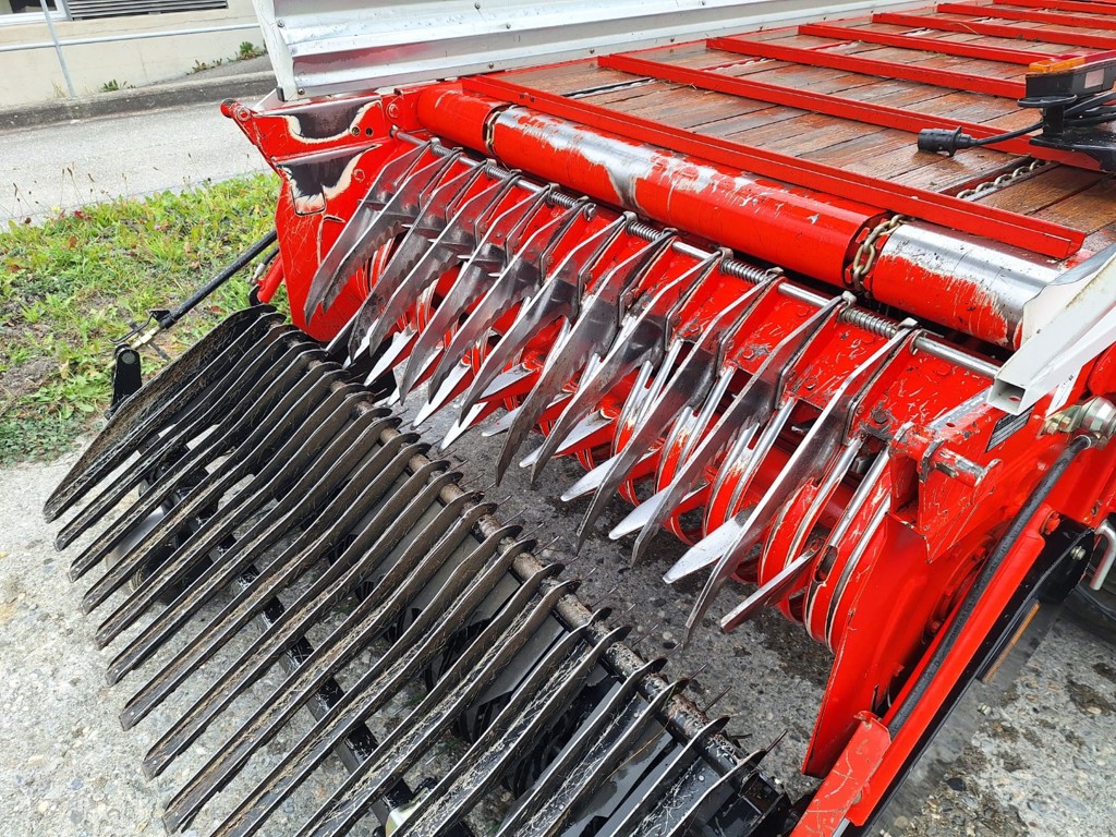 e09a82e7-8826-4b13-b7c0-45c093bf0648-PHOTO-2025-10-16-10-23-18 1.jpg