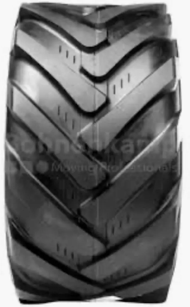 8dfe7c15-ca38-483c-8621-d74d19808432-Foto 1.jpg