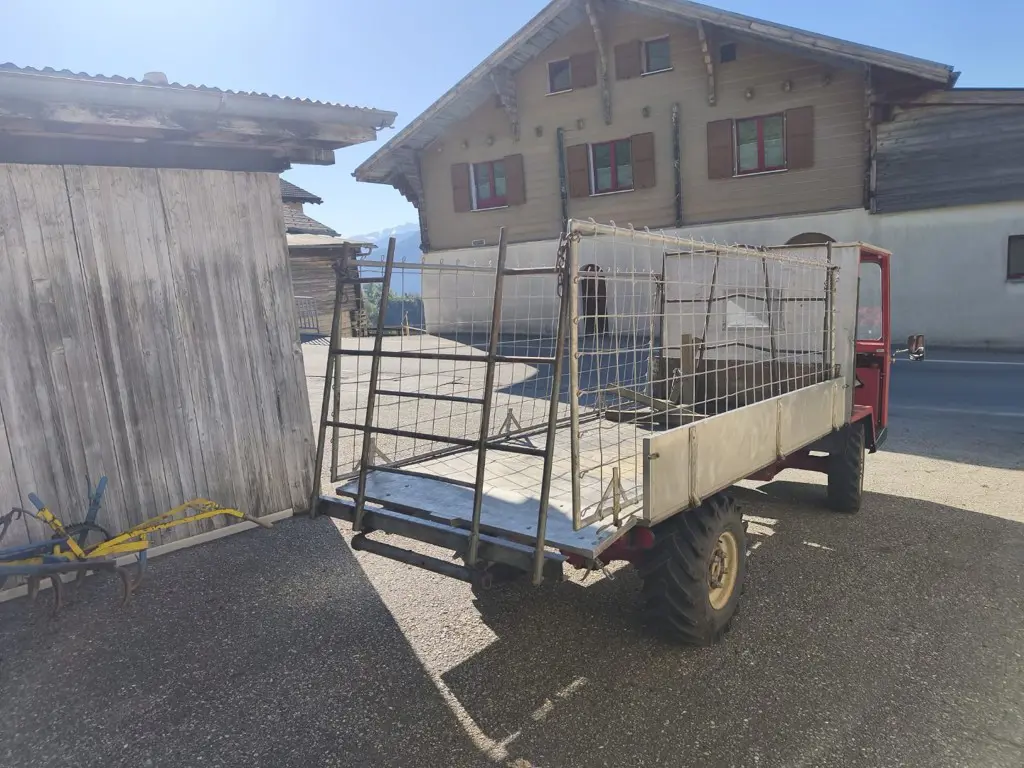 455ae31d-07d3-426b-b79b-912d52223193-WhatsApp Image 2026-04-25 at 09.jpg