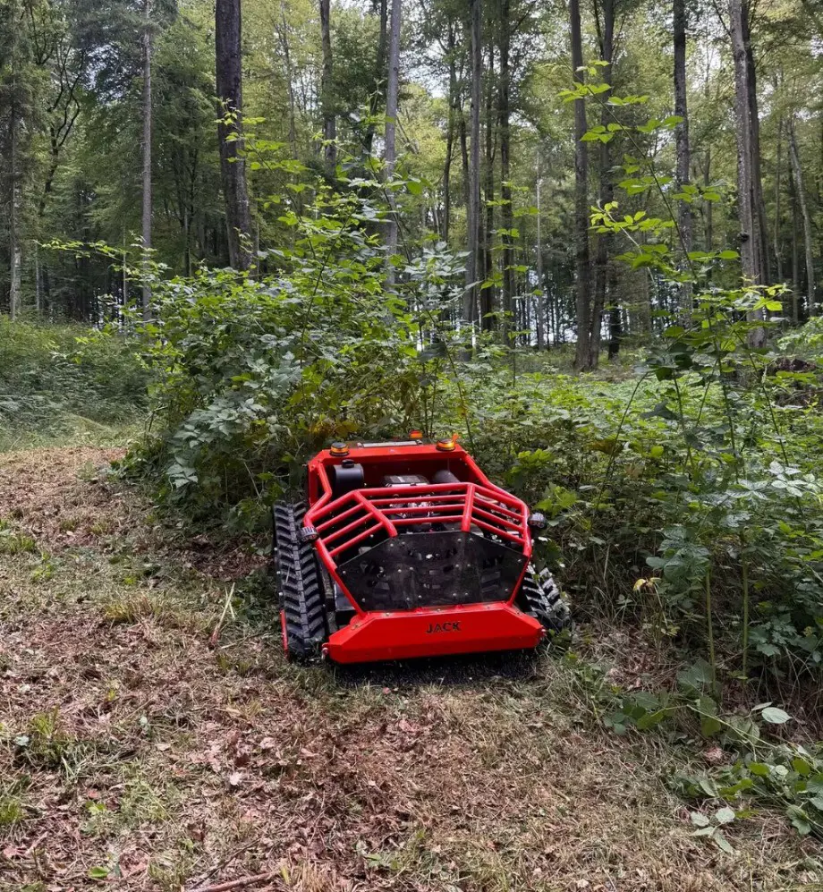 fa21780b-efb4-4021-92ce-eabd558d9ee3-WhatsApp Image 2025-07-11 at 15_38_05 (1).jpg