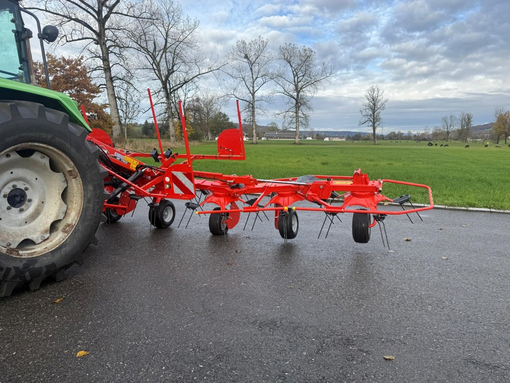 54f87db6-3225-4198-bc52-903566317e89-WhatsApp Image 2025-10-28 at 10.jpg