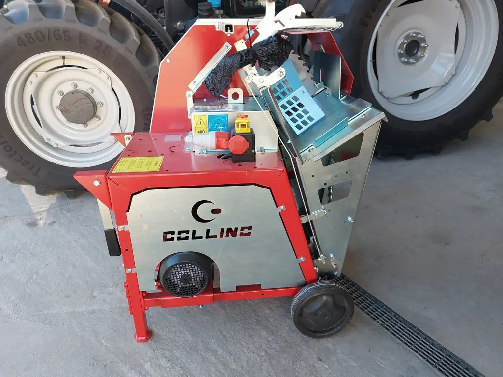 39038b2a-23bb-4fc9-be54-491313ab847e-Collino scie.jpg