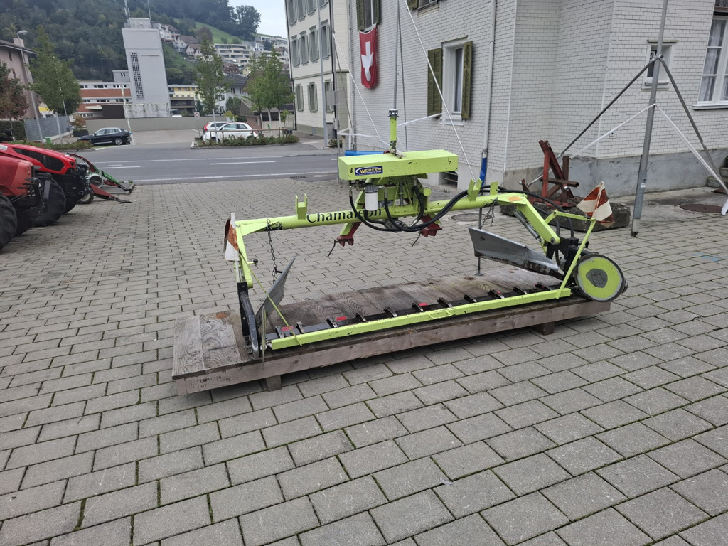 47d779e5-bbc8-4667-8ad6-d92425aaf1c6-WhatsApp Bild 2025-10-03 um 16.jpg