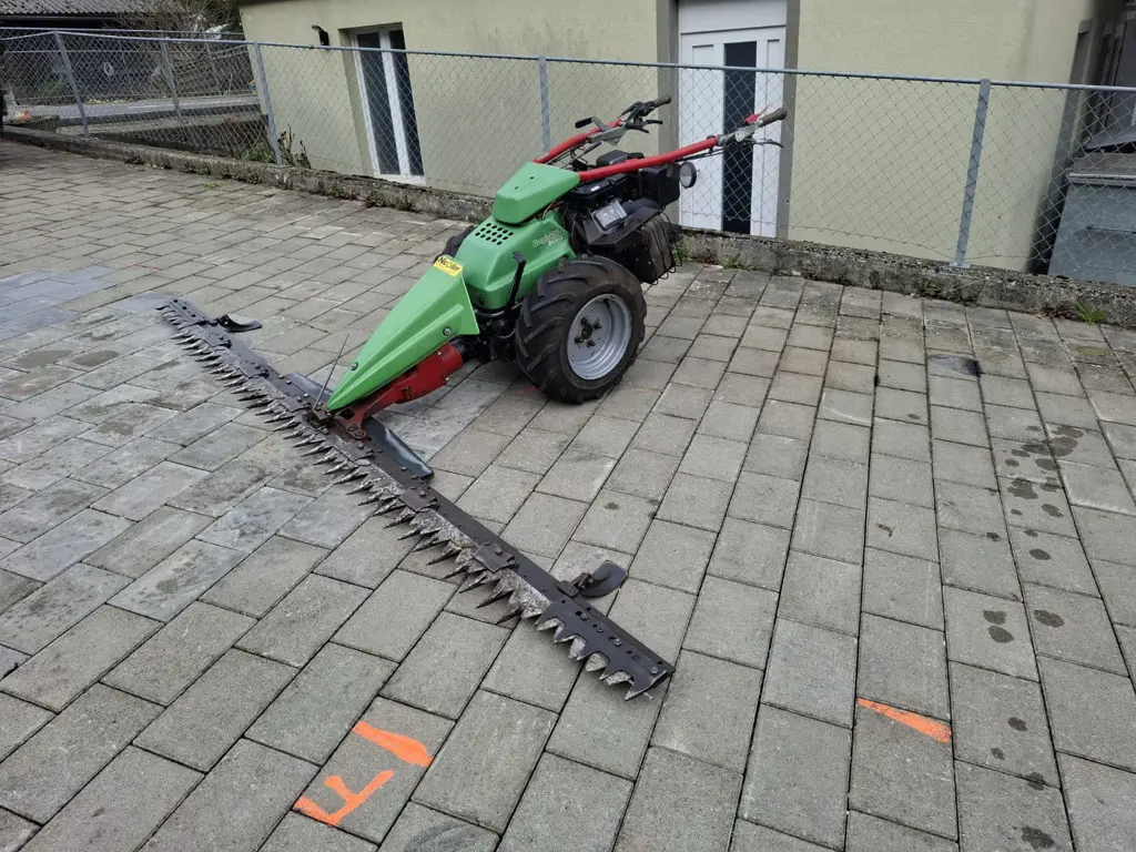 a63724af-ceb6-428d-815b-b5ce7de48ec8-WhatsApp Image 2026-04-04 at 11.jpg