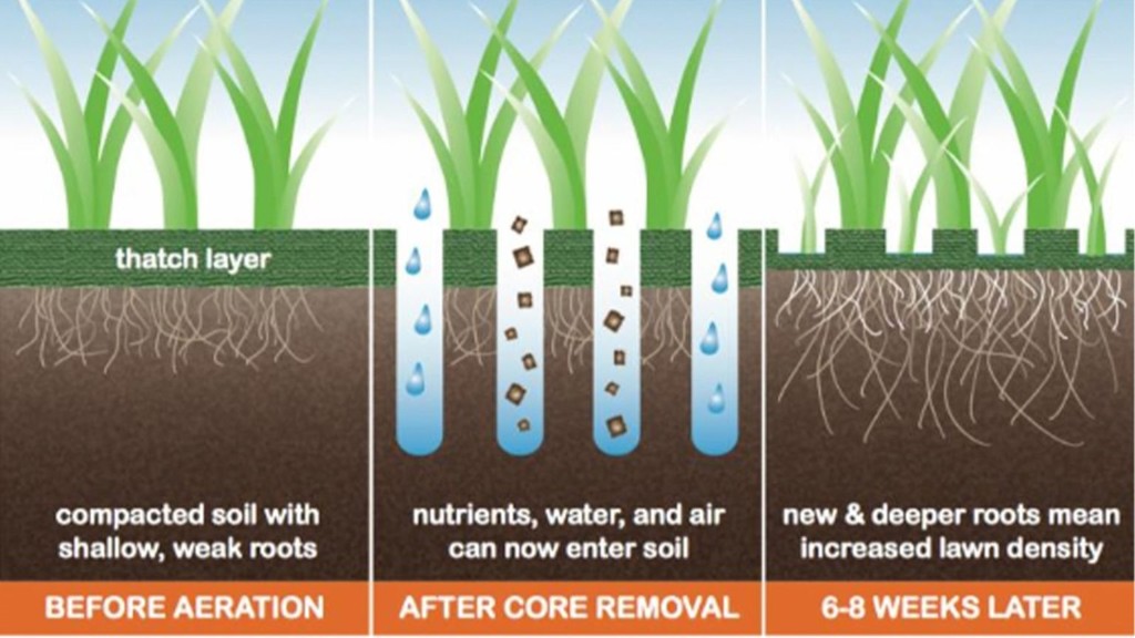 75730677-b827-467c-89a7-99c38449f93a-Fleming Wiesenbelüfter 8.jpg