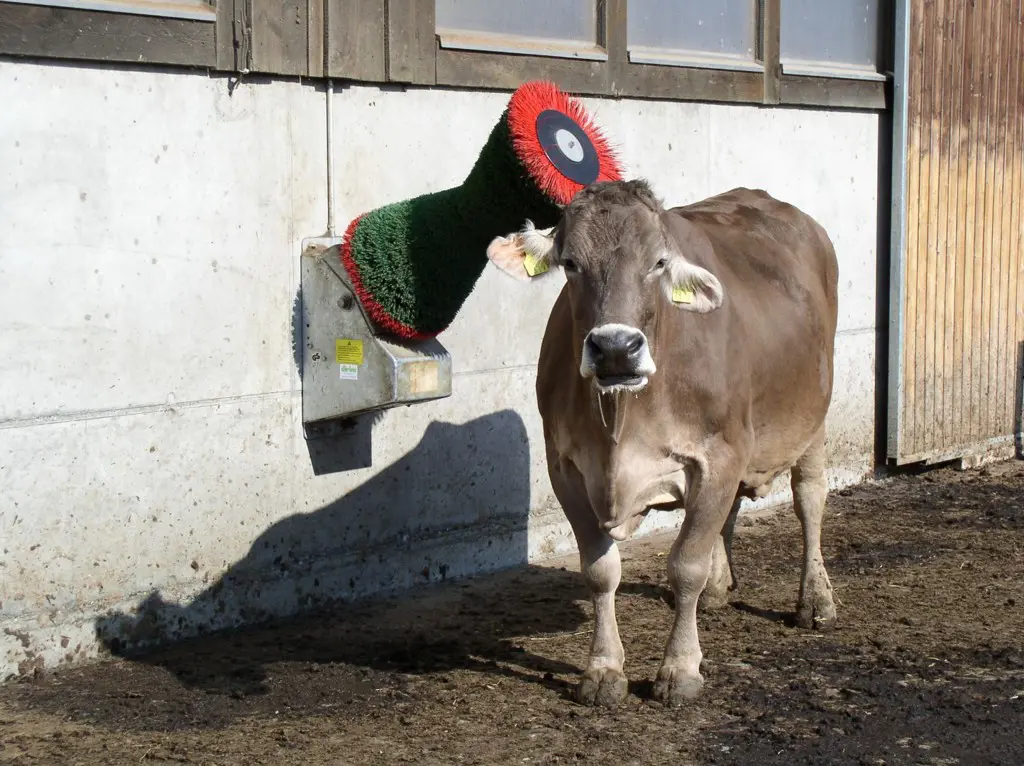 964886e2-24bf-451f-aca2-3c923b2d55b6-Cow Cleaner Wandmodell.jpg