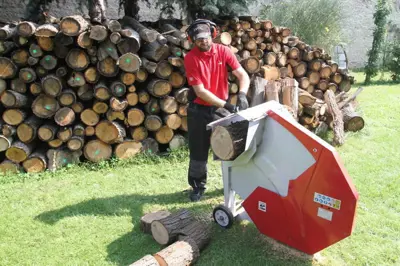 Brennholzfräse/Wippkreissäge Elektro/Scies bois électro, Type Eco