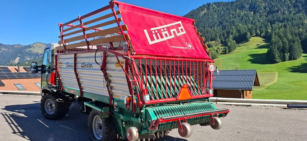 454bfb80-8ca6-4a5f-9d25-a67ba5bd0dc8-lü3 20250919_150115.jpg