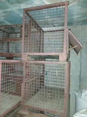 Metall-Gitterpaloxen