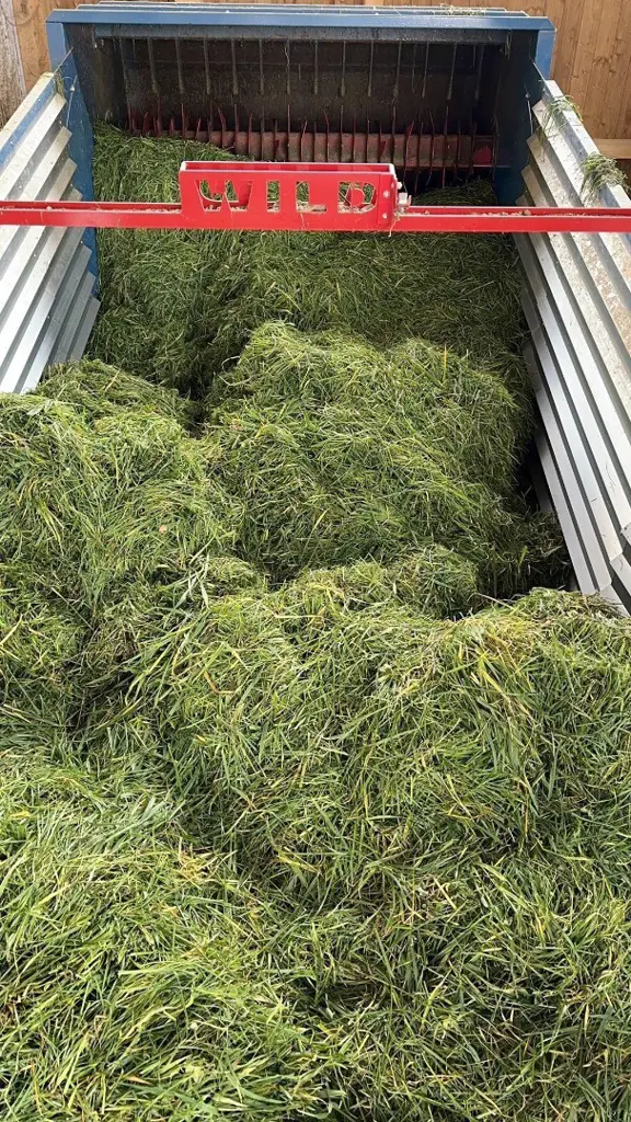 845d55d8-42ba-42ec-a677-d5007095f9b5-Walzendosierer-mit-Gras.jpg
