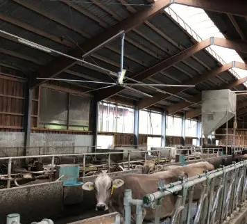 b0dd16b5-7224-4ebe-bd13-cfe0b52fd332-