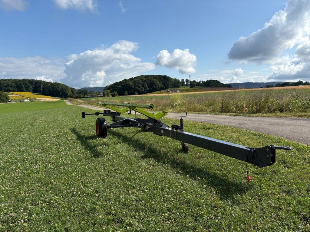 74cd77d9-25c0-4594-aaa1-6068f1fee54c-WhatsApp Image 2025-07-09 at 12.jpg