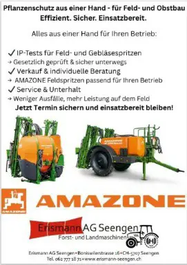 Amazone