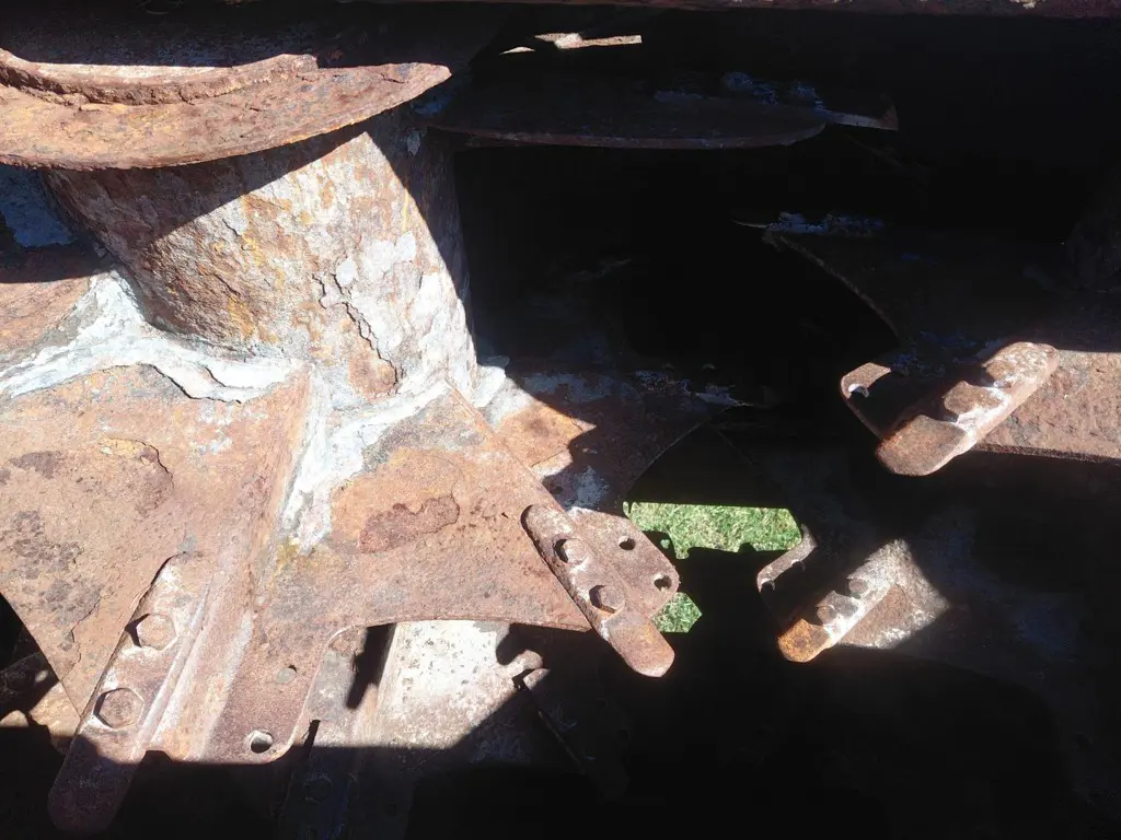 24b26406-1556-4f54-9e00-e27795022dac-WhatsApp Image 2026-03-03 at 16.jpg