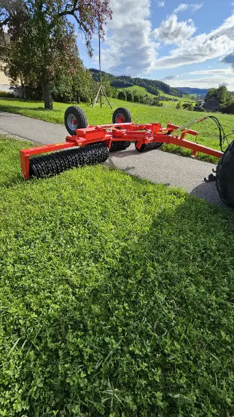 9f3bae77-2a05-416c-a828-73366515ecda-WhatsApp Image 2025-09-11 at 16.jpg