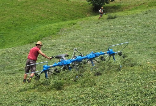 22e377f8-1095-4f84-9125-c43748f01e8d-