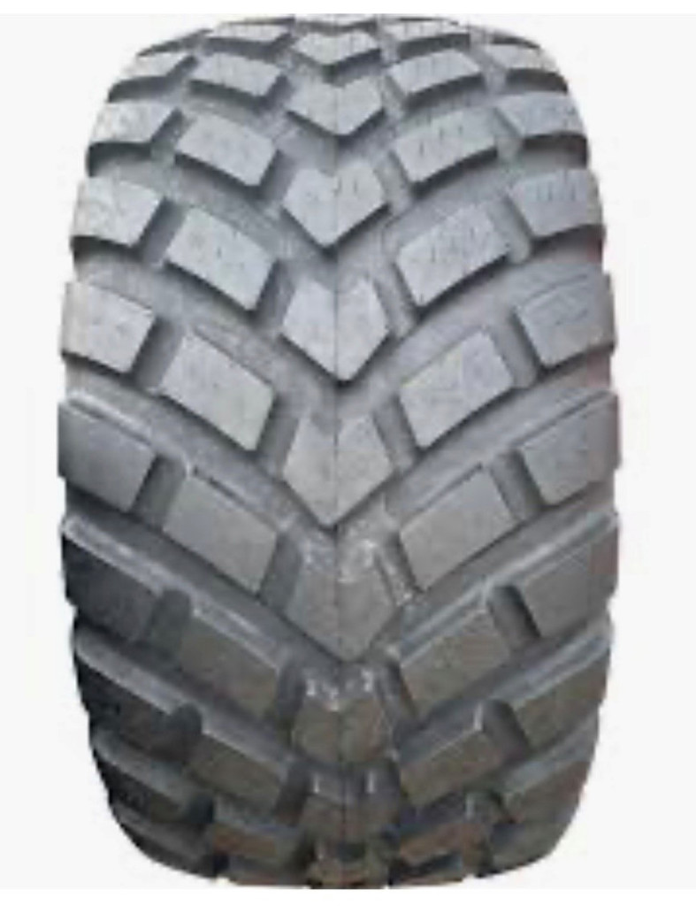 2c13b103-5bc0-42bd-b321-f6fd81274332-Foto 4.jpg