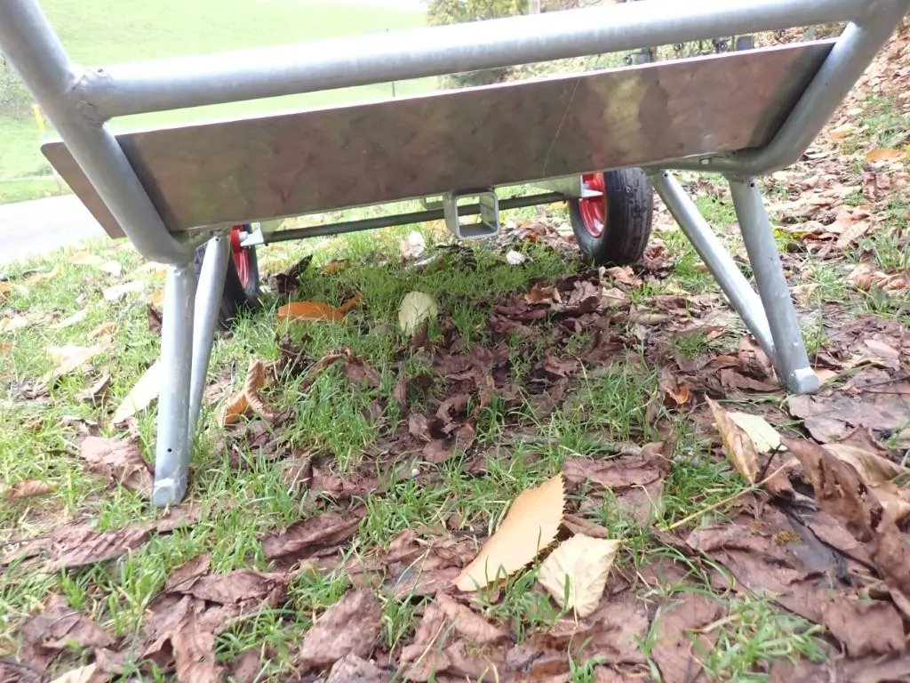 4e76b4c3-6710-45b9-a35e-3f26f58e83c6-jenny (5).jpg