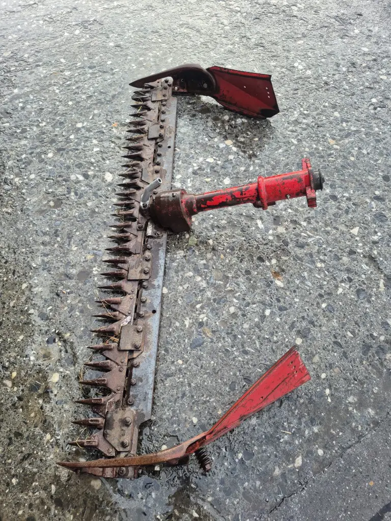 93f83fd8-d5a1-428d-88a9-db9aaefa880f-PHOTO-2026-03-12-08-10-02 6.jpg