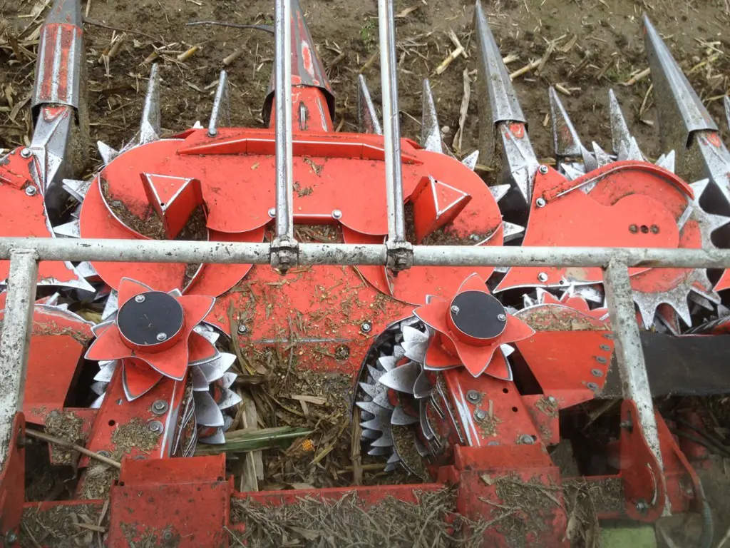 a353faf3-2174-4aea-8924-bc679c56f24a-iphon 294.jpg