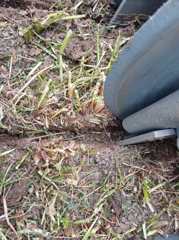 bb65932a-9380-43c9-83d6-6ec32d33f6d5-WhatsApp Bild 2025-09-23 um 11.jpg