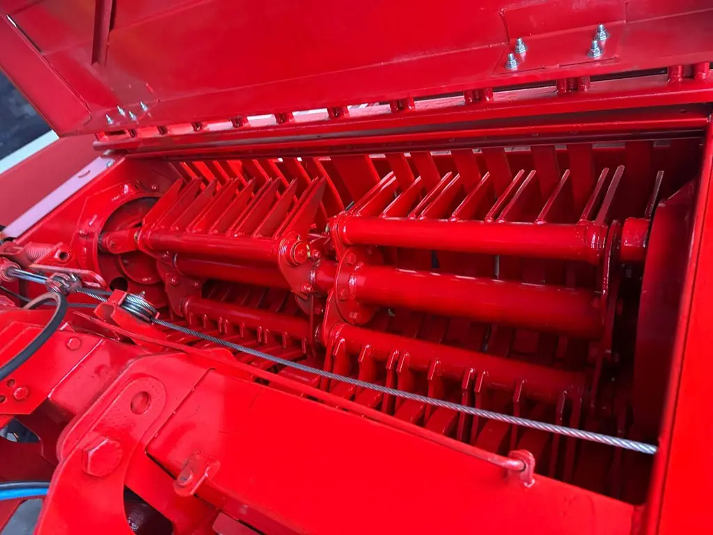 ed2e8f15-dc47-4606-bfc2-47a3bfd02b0d-WhatsApp Image 2026-02-15 at 17.32.12 (1).jpg