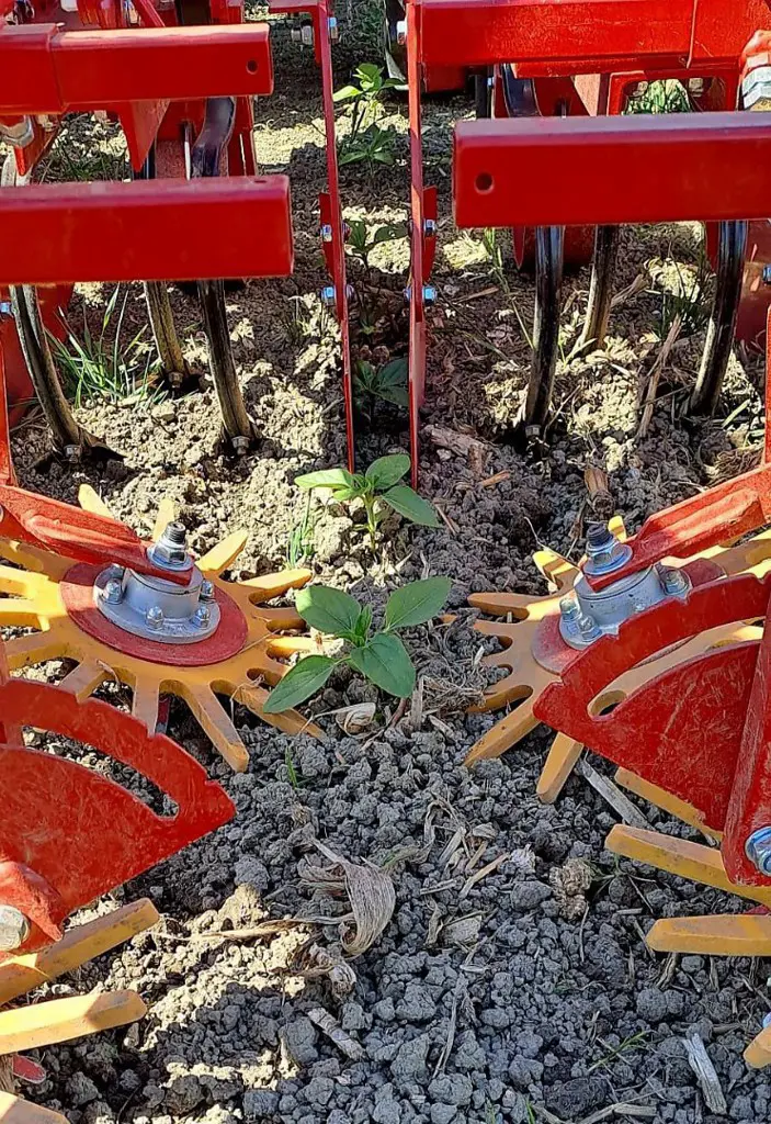 Hackgerät 6×50/4×75