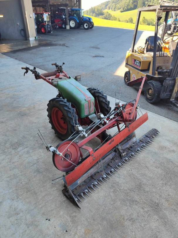 4a71c056-01ff-46b8-9a08-596e0617984b-WhatsApp Bild 2025-08-25 um 18.jpg