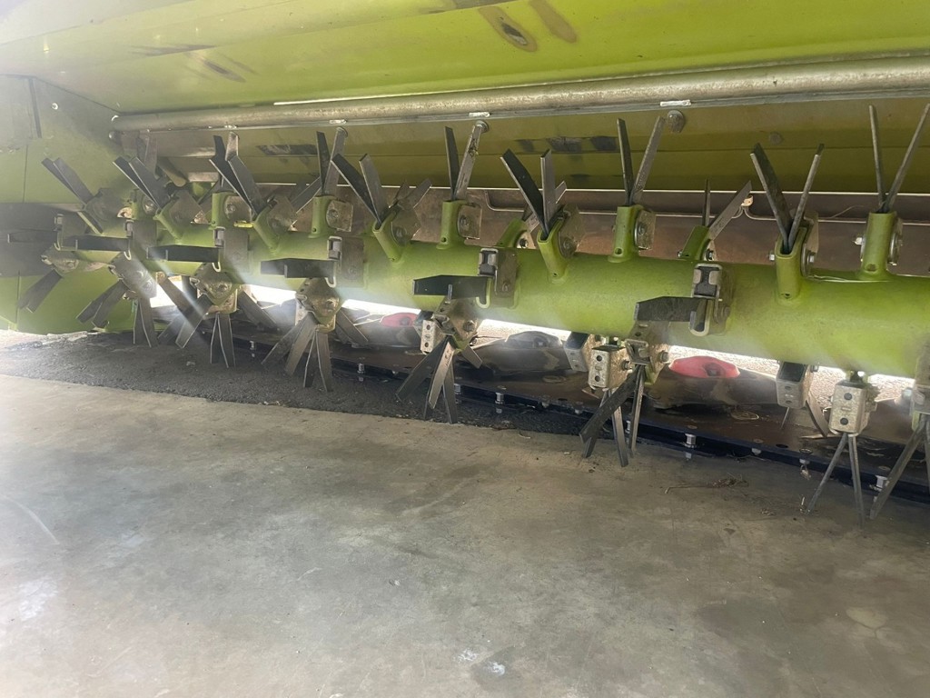 e49e98a0-2090-44b6-b01a-d6716134893d-WhatsApp Image 2025-10-10 à 15.jpg