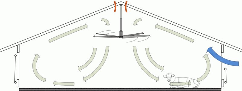 94fb63e3-70e7-4cd8-8391-a5dc49482092-Schema Funktion Breeze Deckenventilator.png
