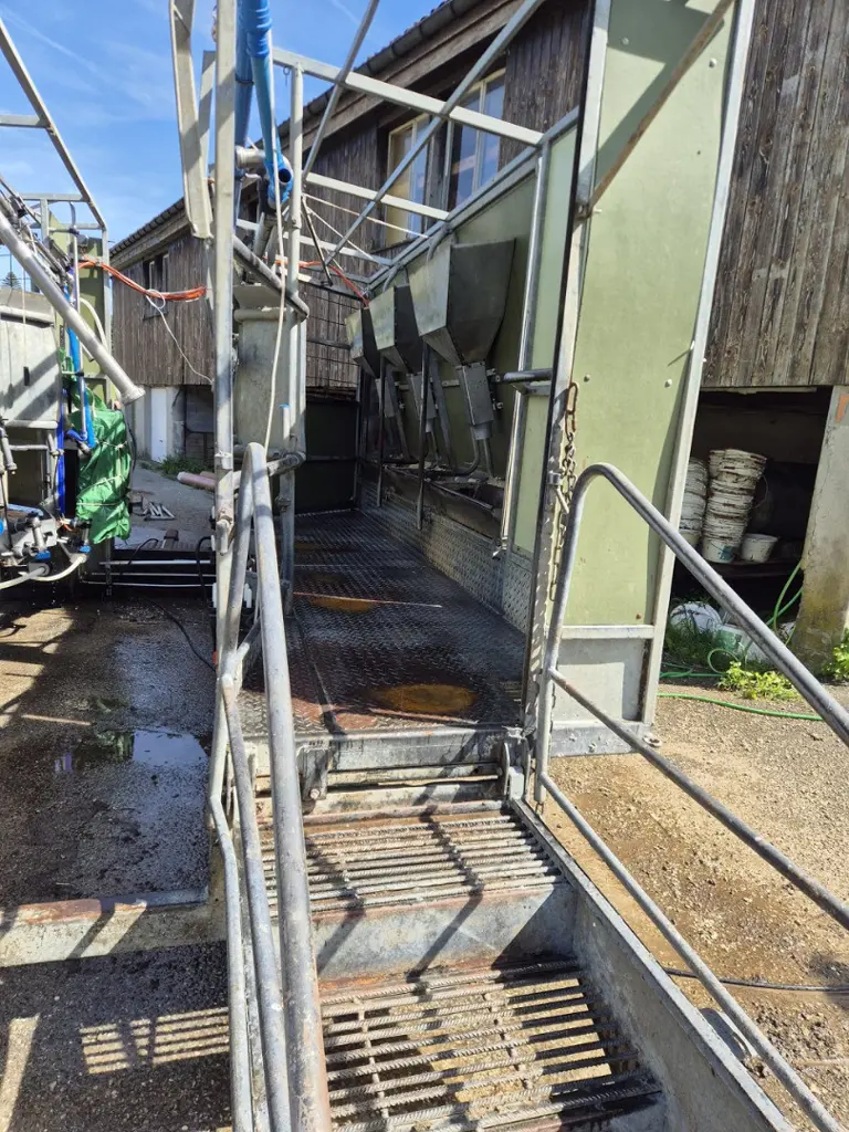 508c13a0-243d-411a-ab3f-15388ae41b7d-Cremers Steiner  (14).jpg