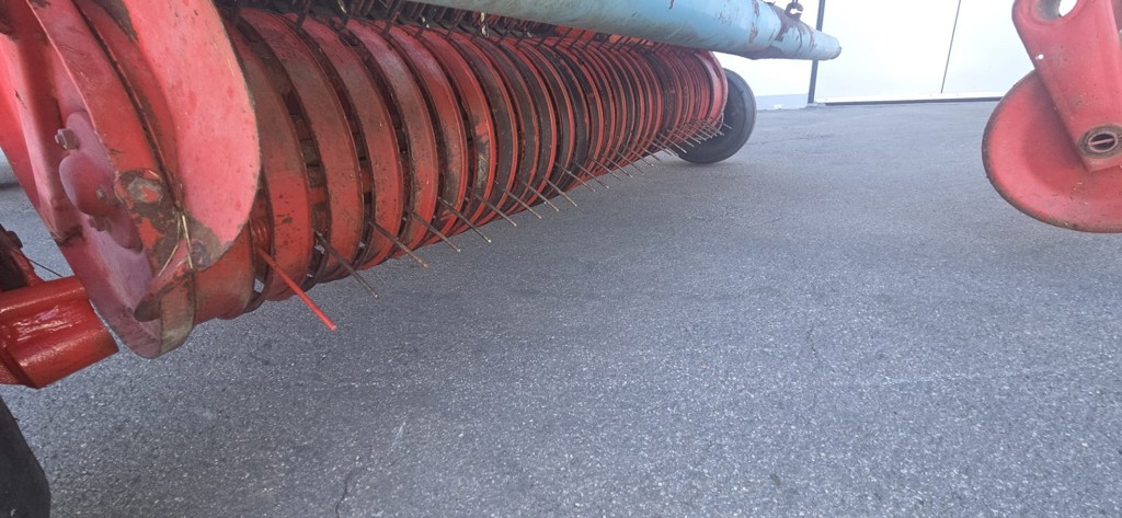 a4a5fe65-cc4e-4224-ade5-0d7b9d083298-WhatsApp Bild 2025-10-14 um 17.jpg