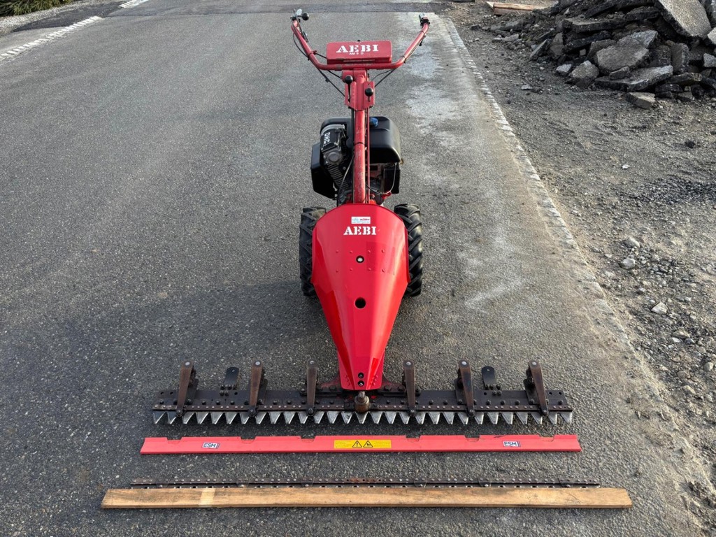 8221a2ae-9381-41b5-99e2-4e7eafffb042-13643 Aebi Motormäher AM 9 D (5).jpg