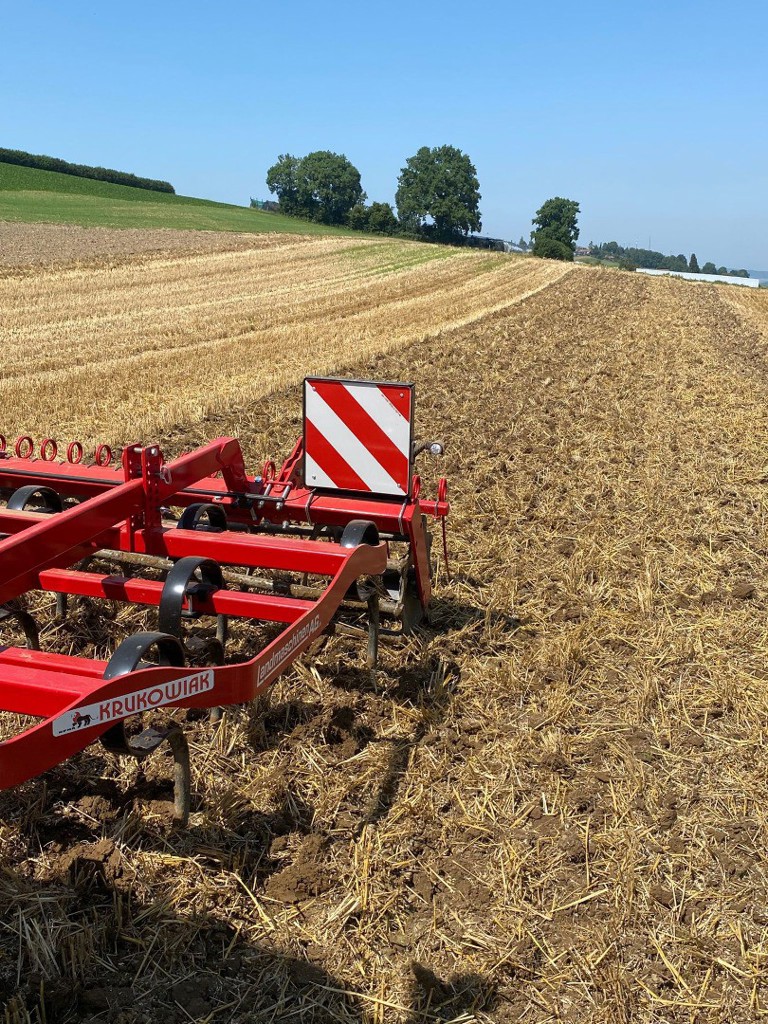 e413f9e1-bc98-4a63-b9e8-0fc6fc56f5d4-WhatsApp Bild 2025-08-12 um 14.jpg