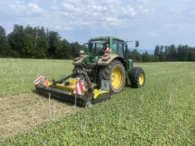 Moreni Kreiselegge KQ 300 mit Packerwalze