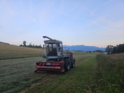 Ensileuse Mengele SF 6600