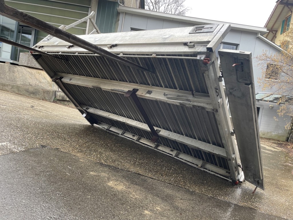 f69f8bf0-df54-4fee-a2e9-9adb805dd4eb-IMG_4771 (Large).jpg