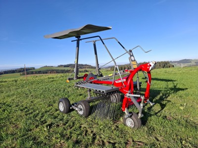 Massey Ferguson RK 361 DN Kreiselschwader