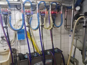 Rohrmelkanlage Milkline MC200