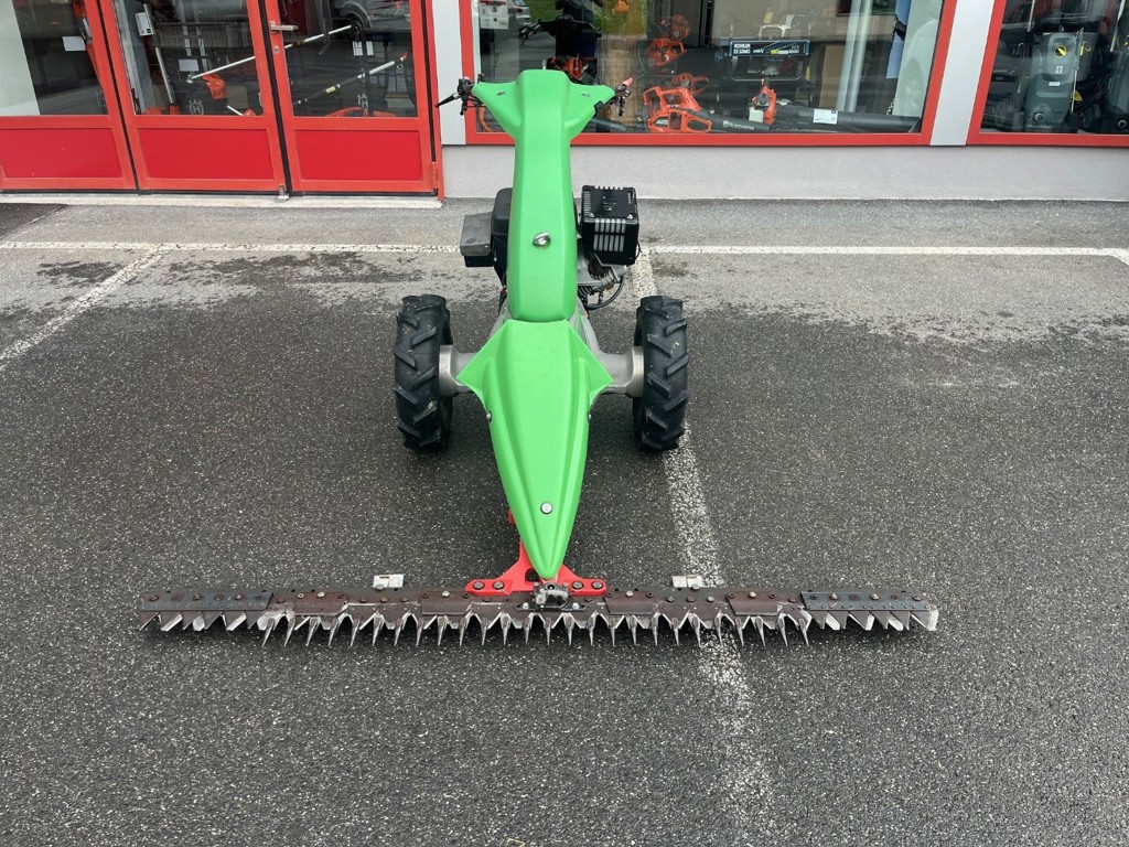 76ebf723-1e8b-42b3-9278-c37ef963b63a-Rapid Universo Mächler Mädi 2.jpg