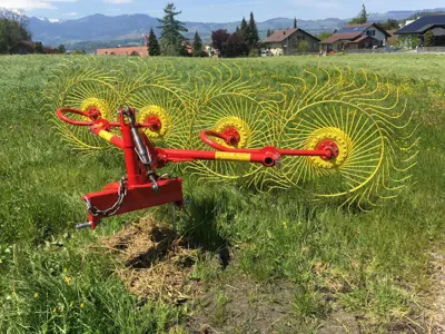 Occ. Sternradschwader