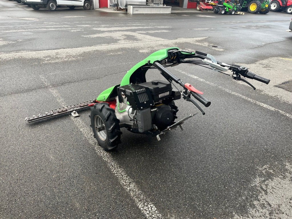 2e54582d-16b2-4a15-a9fa-eb78ecc4746f-Rapid Universo Mächler Mädi 6.jpg