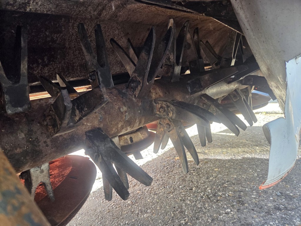 c58b0767-20d4-4974-a52b-8d99eb1d9659-PHOTO-2025-10-29-11-35-22 6.jpg