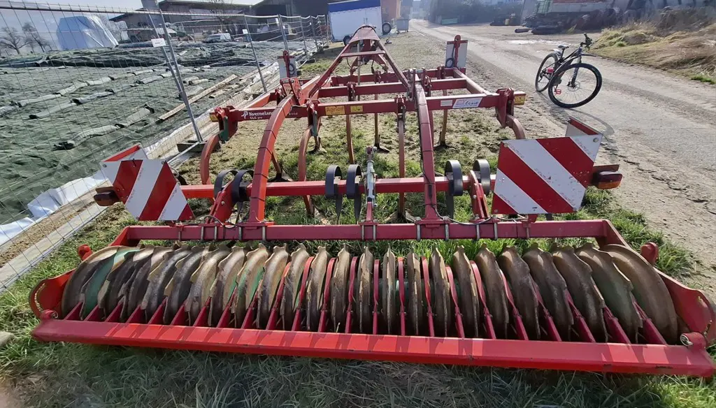 88b5a204-1b88-44f6-adbf-1ec0ae44678c-WhatsApp Image 2026-03-05 at 10.jpg