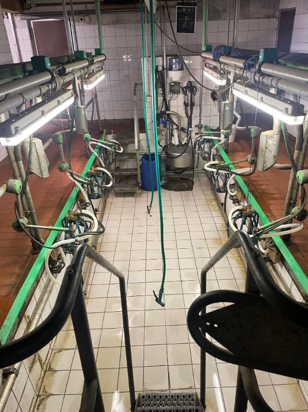 66d15e93-2aa2-4c42-a649-31b185213424-WhatsApp Image 2025-05-02 at 08.png