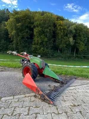 Rapid 505 mit Eingrasung