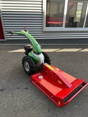 Rapid Mondo M091